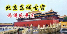 大黑屌AV中出中国北京-东城古宫旅游风景区